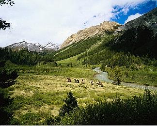 10月Xbox金会员添加《杀手3》？或为免费游玩日一部分